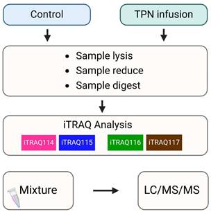 Int J Med Sci Image