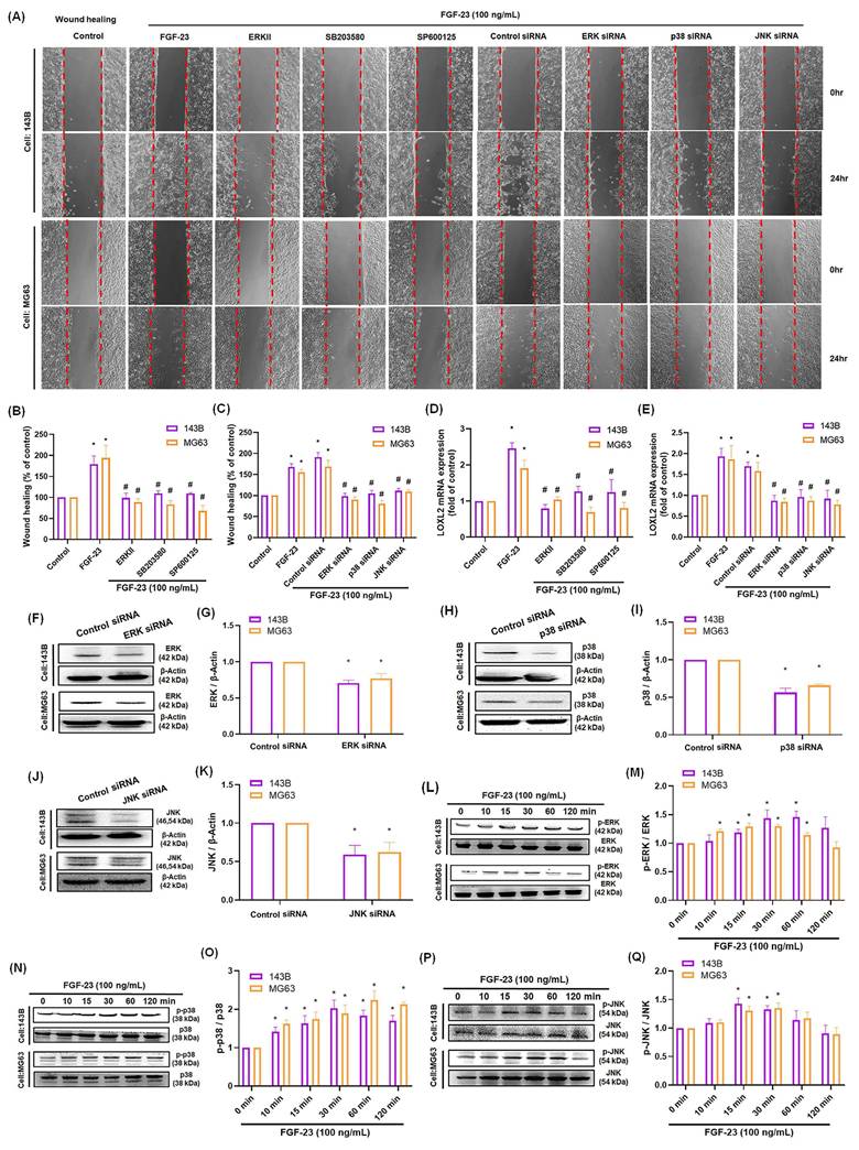 Int J Med Sci Image