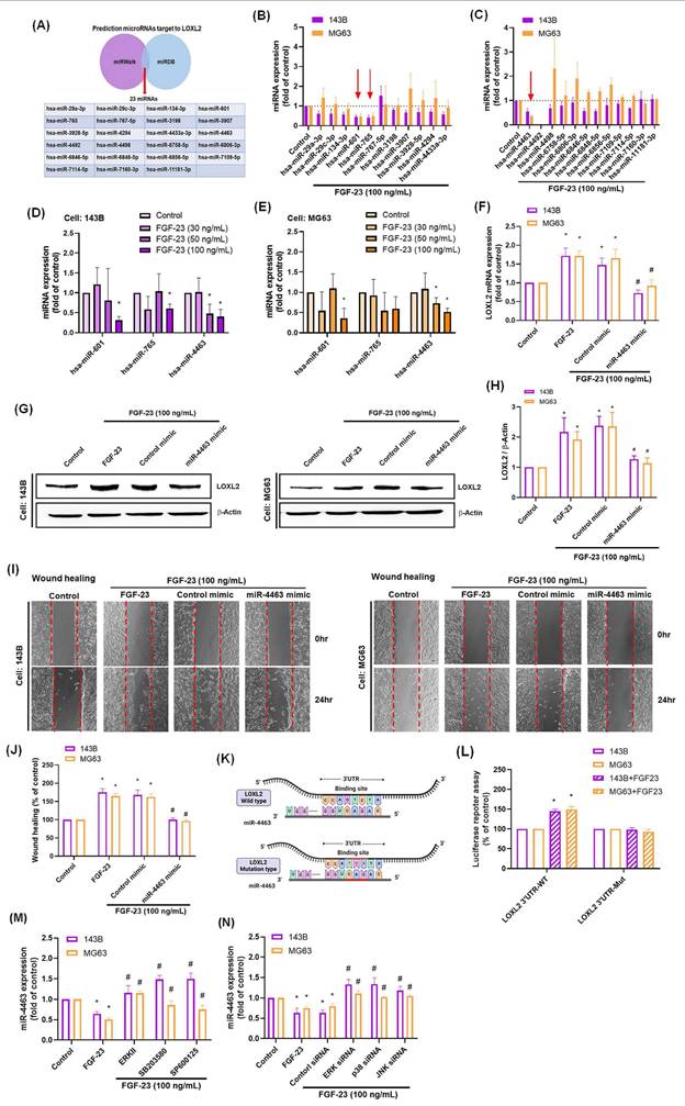 Int J Med Sci Image