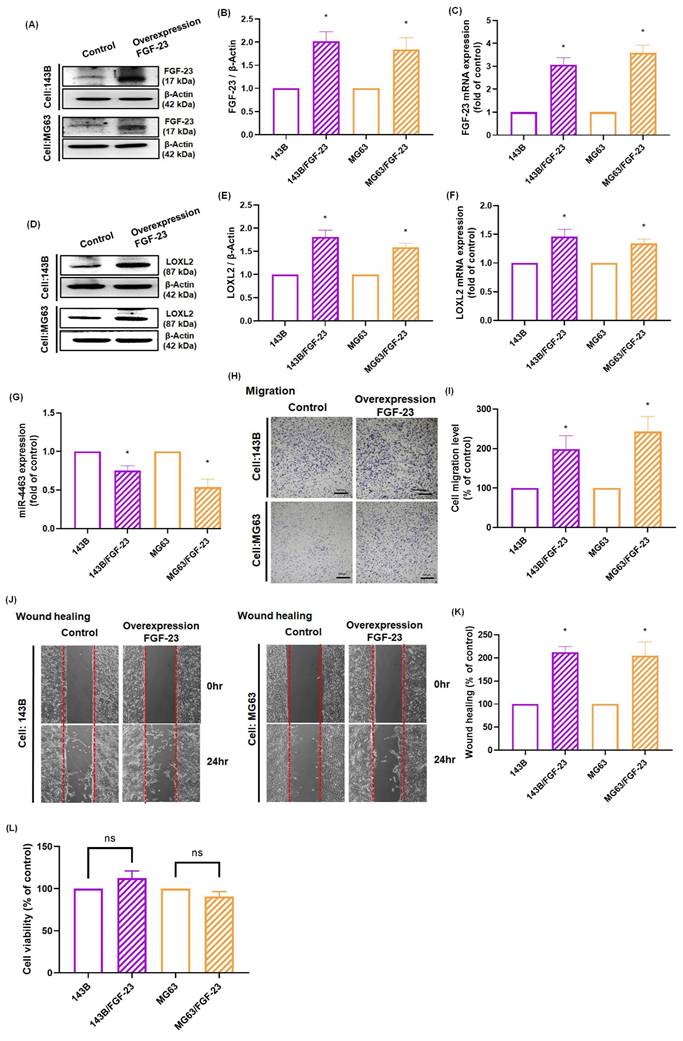 Int J Med Sci Image