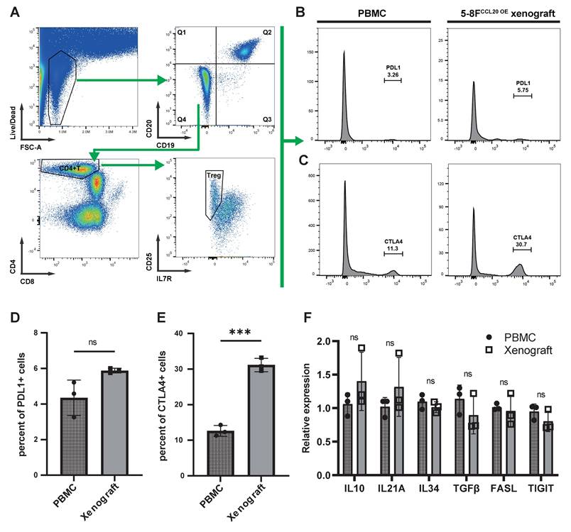 Int J Med Sci Image