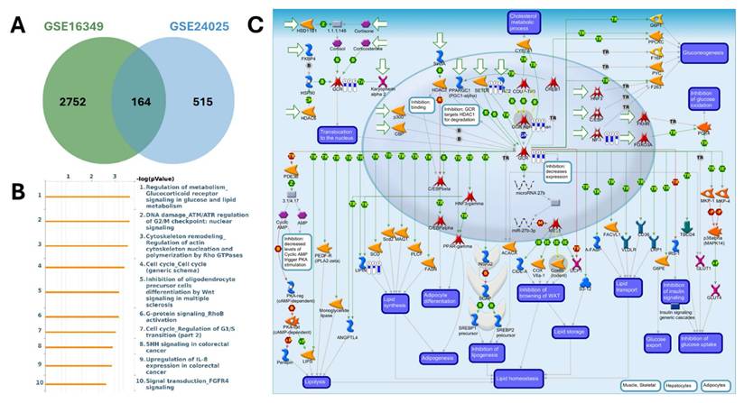 Int J Med Sci Image