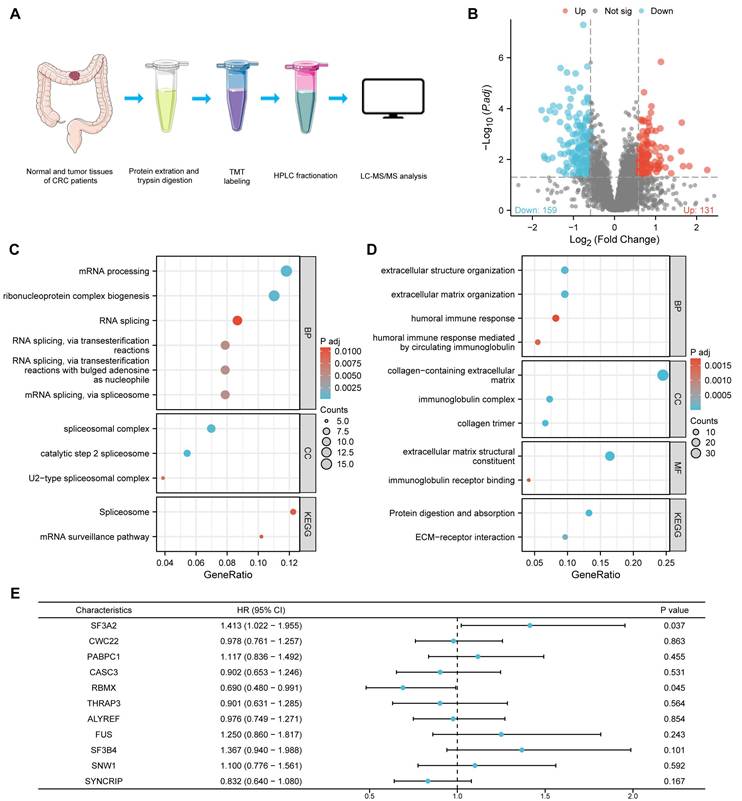 Int J Med Sci Image