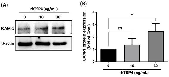 Int J Med Sci Image
