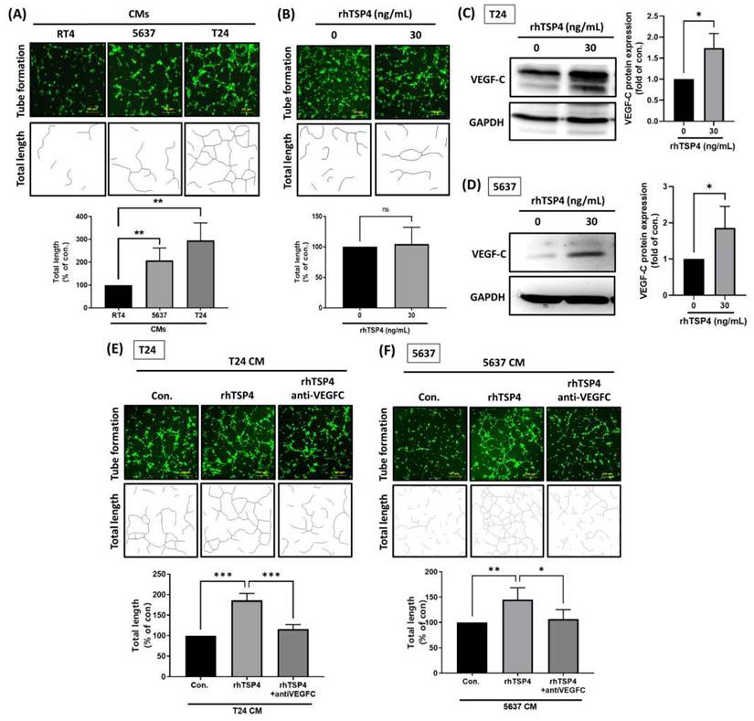 Int J Med Sci Image
