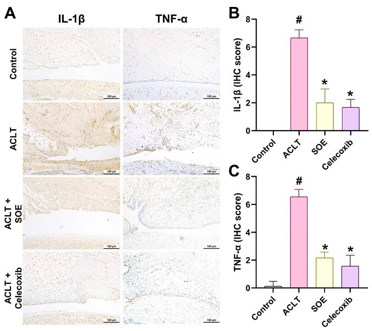 Int J Med Sci Image