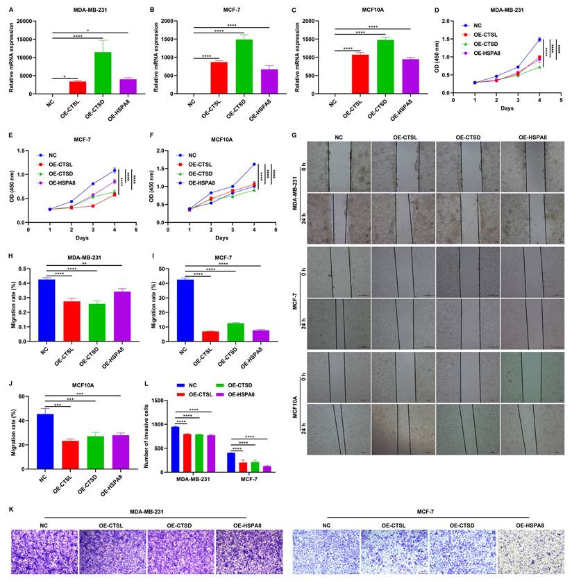 Int J Med Sci Image