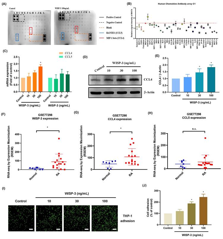 Int J Med Sci Image