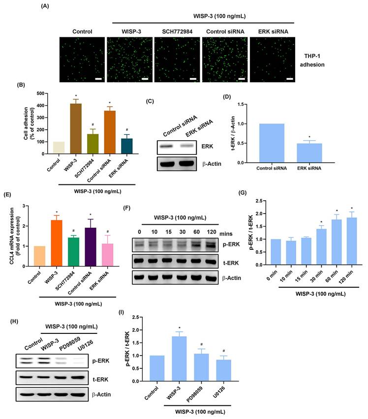 Int J Med Sci Image