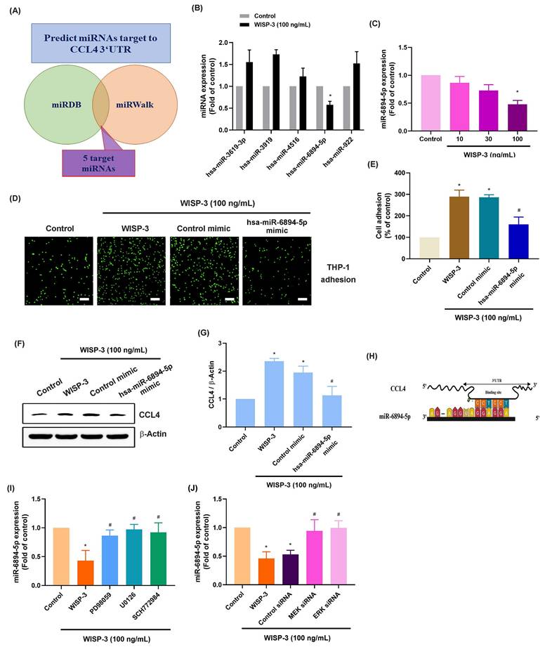 Int J Med Sci Image