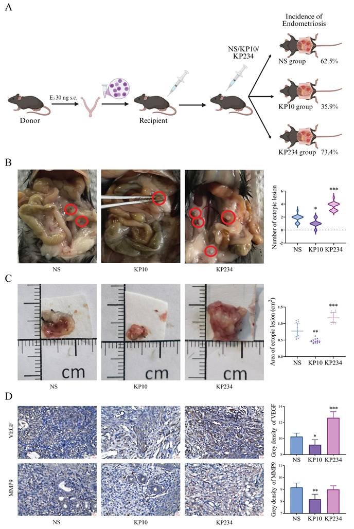 Int J Med Sci Image