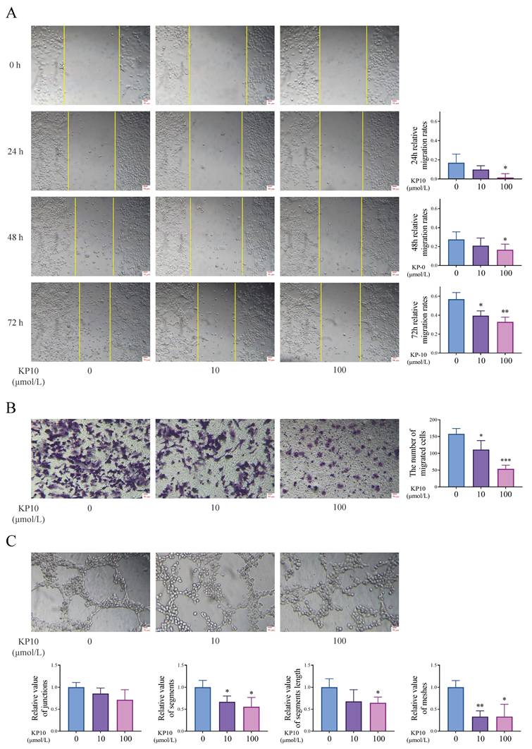 Int J Med Sci Image