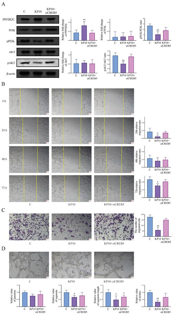 Int J Med Sci Image