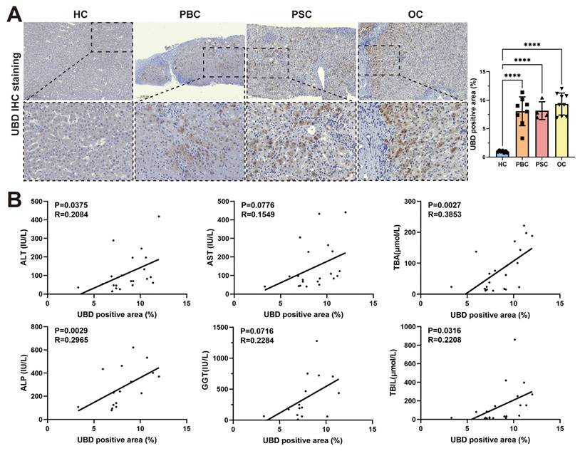 Int J Med Sci Image