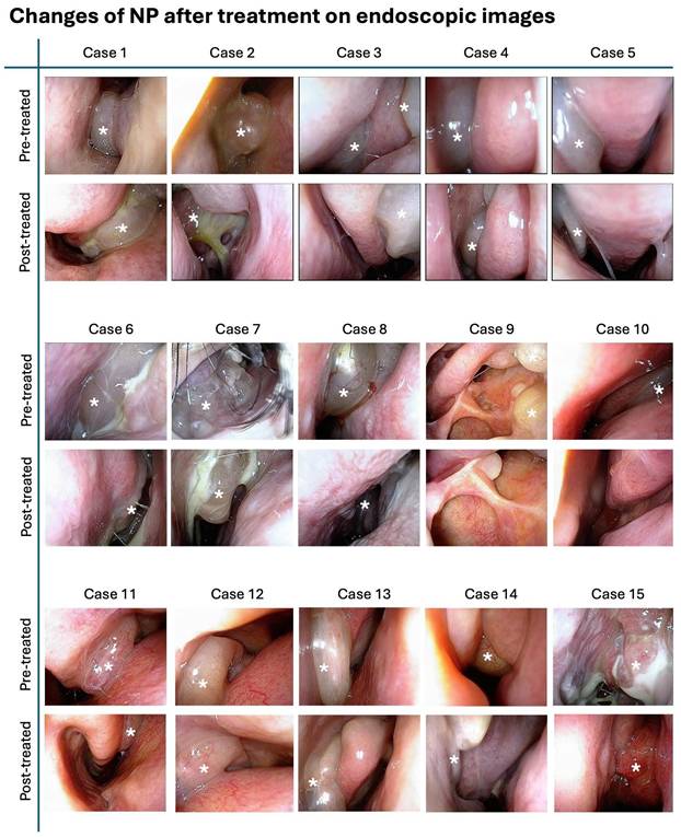 Int J Med Sci Image