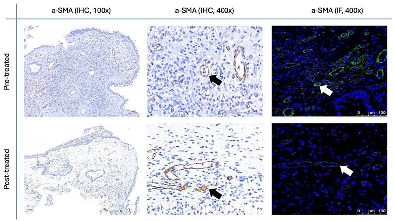 Int J Med Sci Image