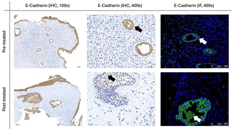 Int J Med Sci Image