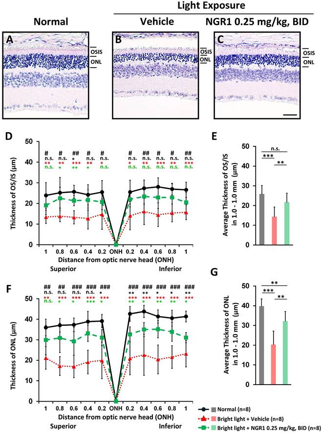 Int J Med Sci Image
