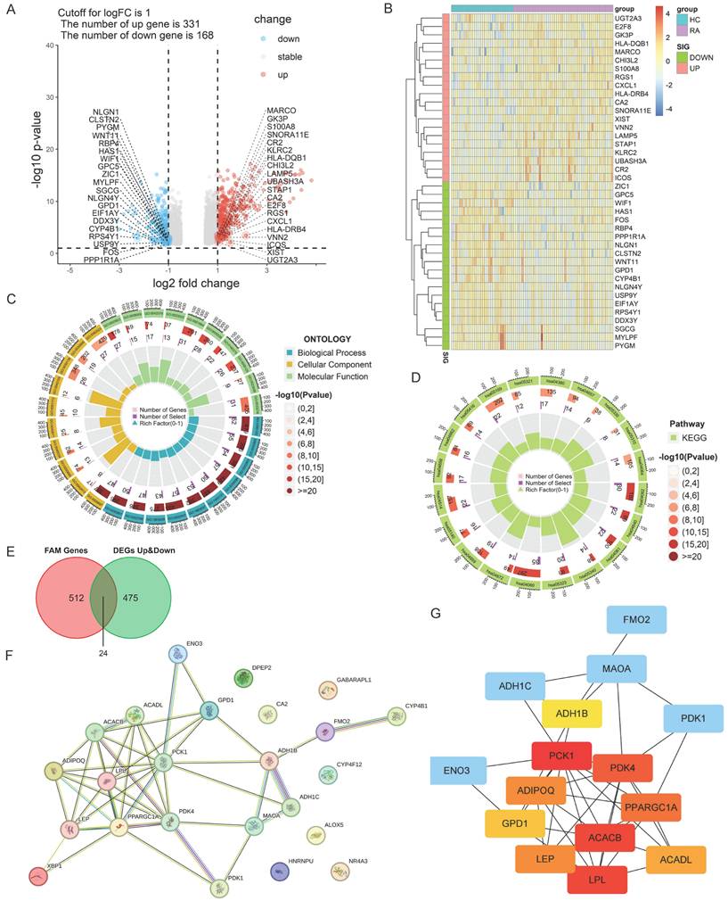 Int J Med Sci Image