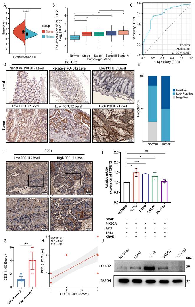 Int J Med Sci Image