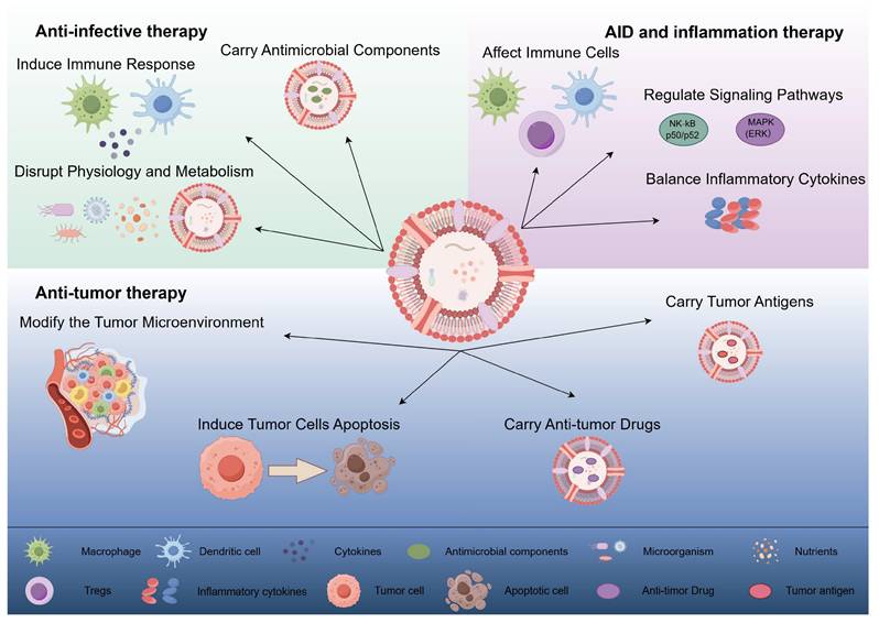 Int J Med Sci Image