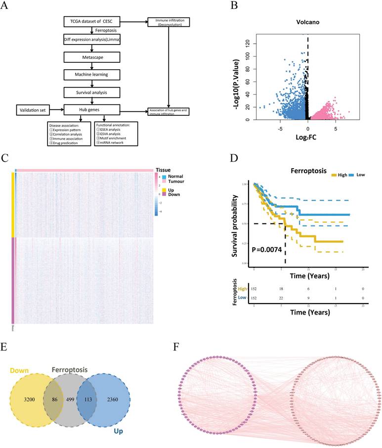 Int J Med Sci Image