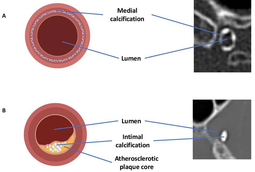 Int J Med Sci Image