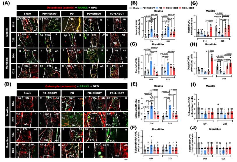 Int J Med Sci Image