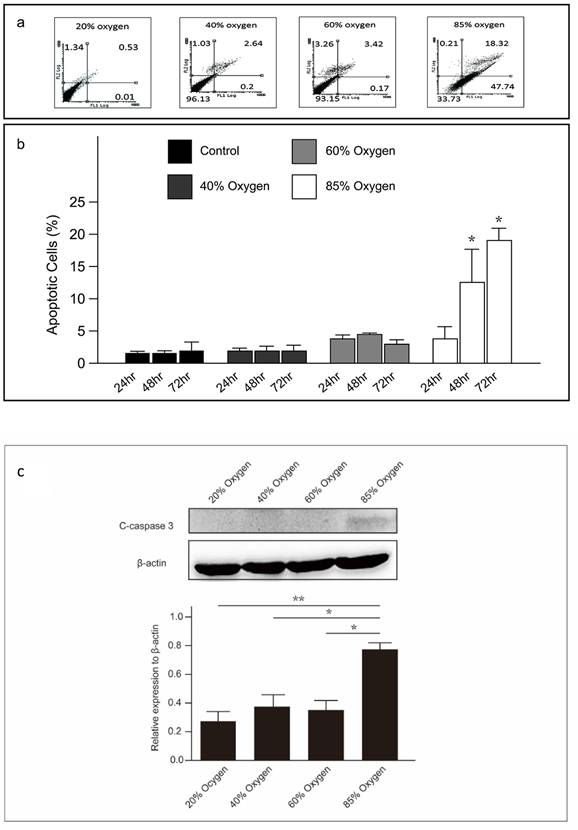 Int J Med Sci Image