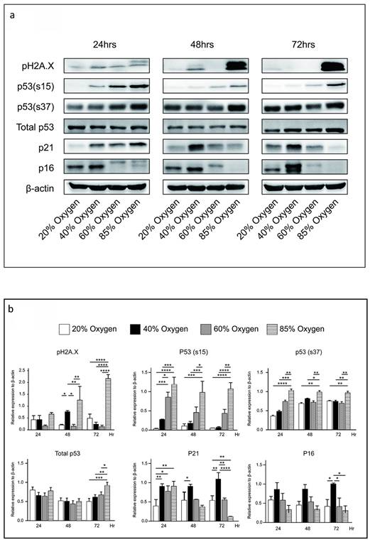 Int J Med Sci Image