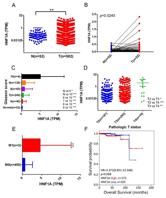 Int J Med Sci Image