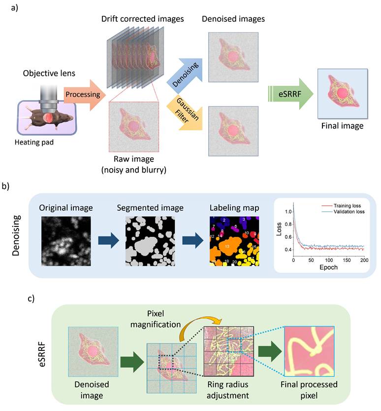 Int J Med Sci Image