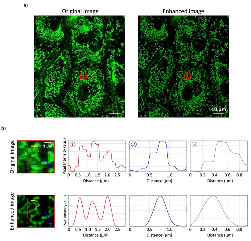 Int J Med Sci Image