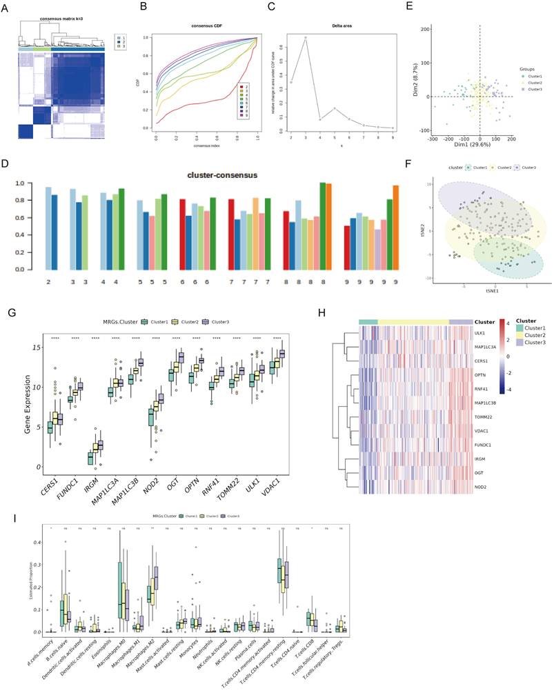 Int J Med Sci Image