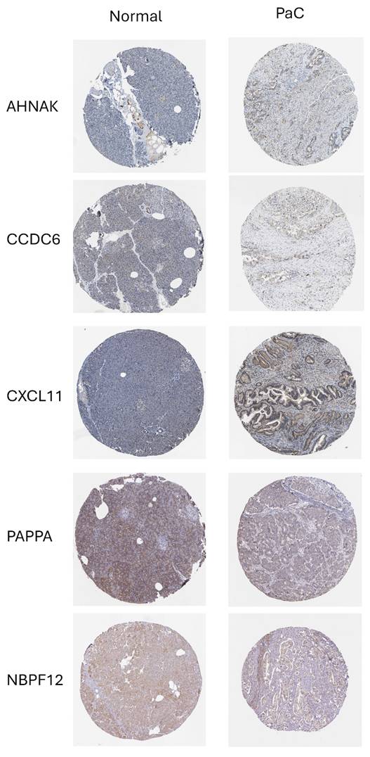 Int J Med Sci Image