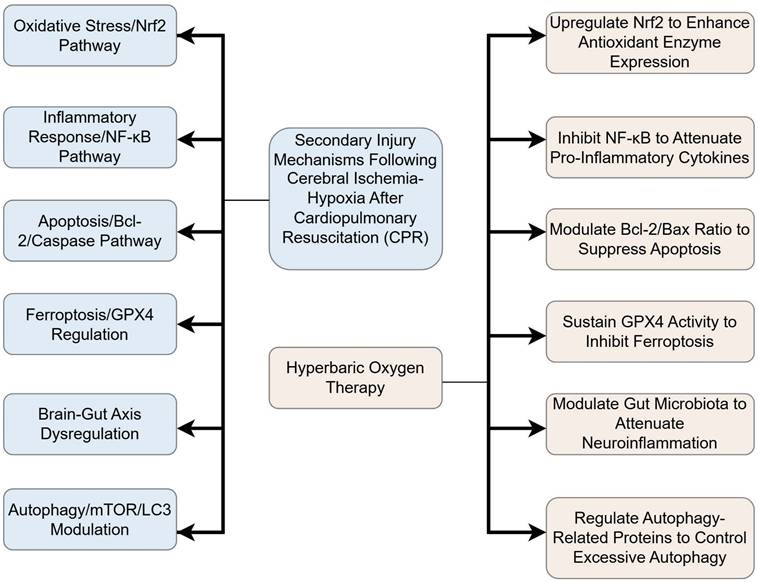 Int J Med Sci Image
