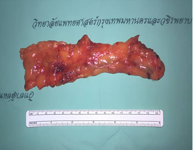 Int J Med Sci Image