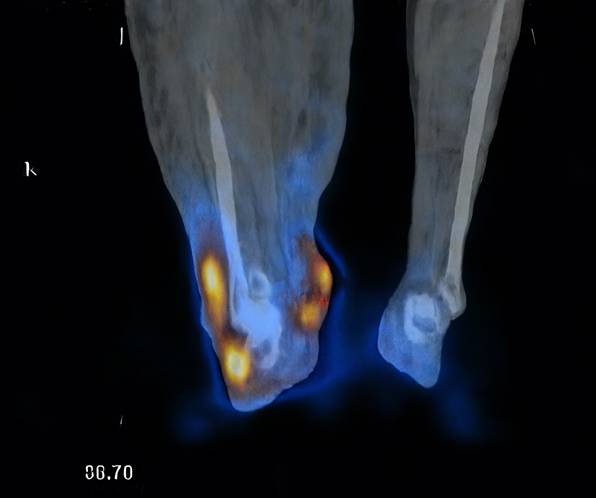 Int J Med Sci Image