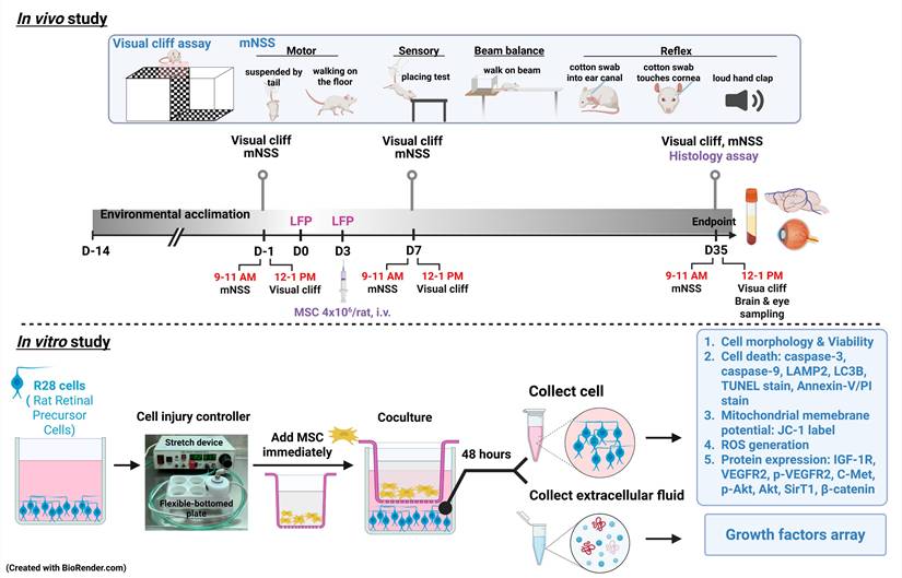 Int J Med Sci Image