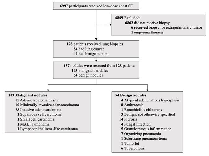 Int J Med Sci Image