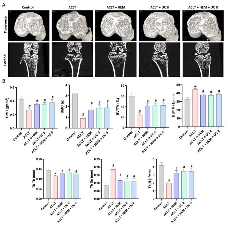 Int J Med Sci Image