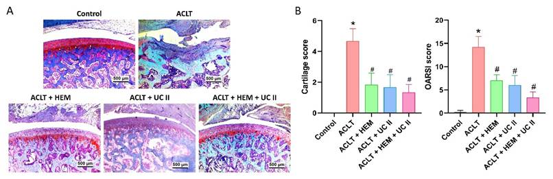 Int J Med Sci Image