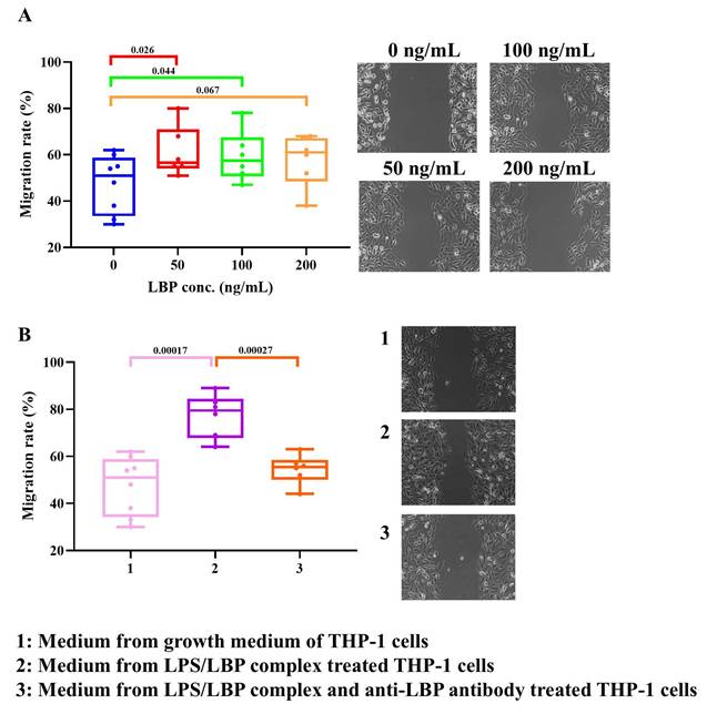 Int J Med Sci Image