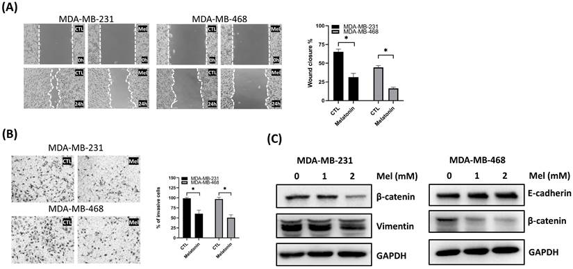 Int J Med Sci Image