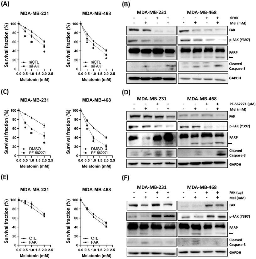Int J Med Sci Image