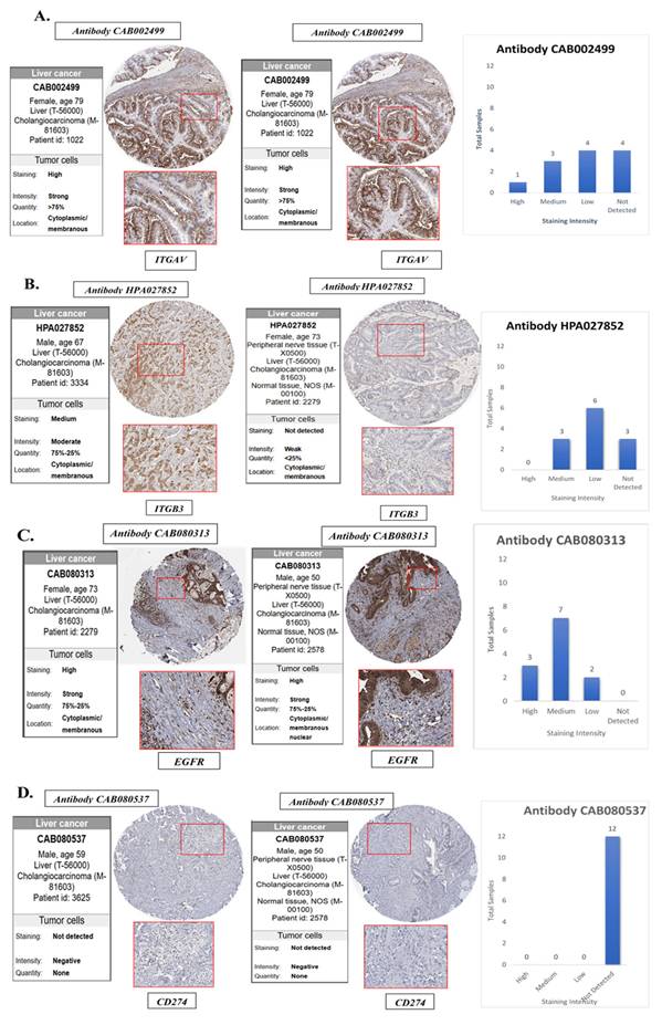Int J Med Sci Image