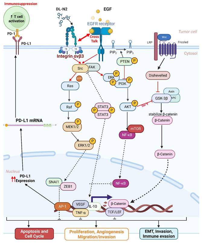 Int J Med Sci Image