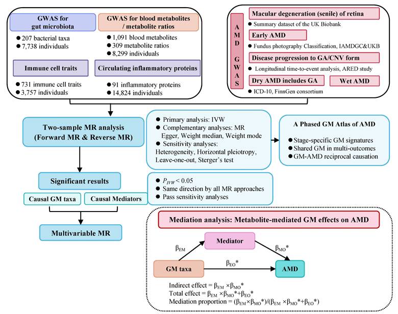 Int J Med Sci Image