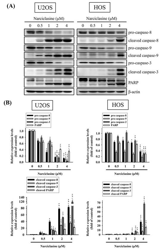 Int J Med Sci Image