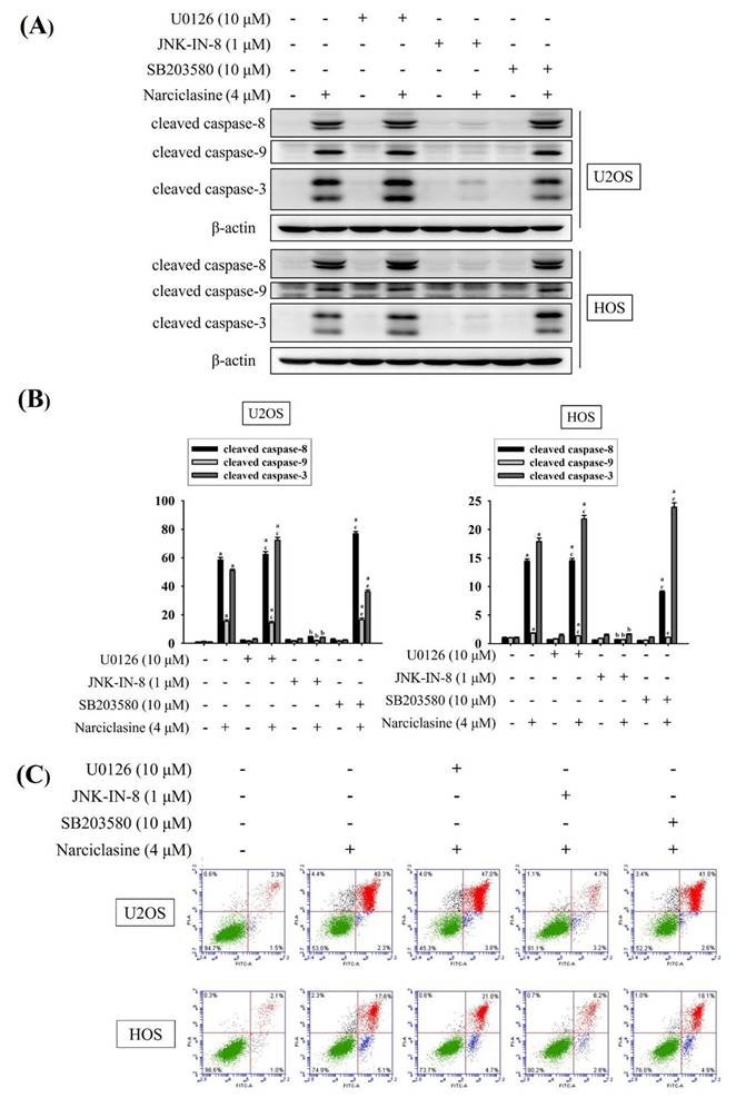 Int J Med Sci Image